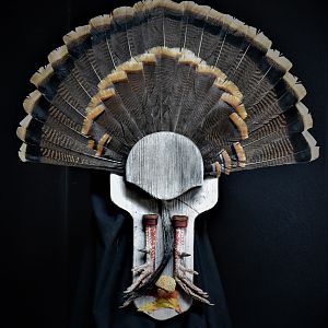 Fall Turkey Fan Board