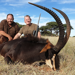 Hunt Sable Antelope in South Africa