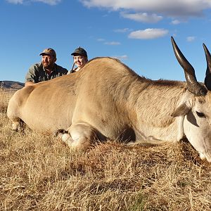 Eland Hunt South Africa