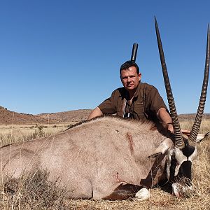 South Africa Hunt Gemsbok