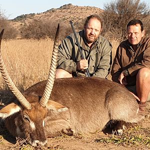 Waterbuck Hunting South Africa