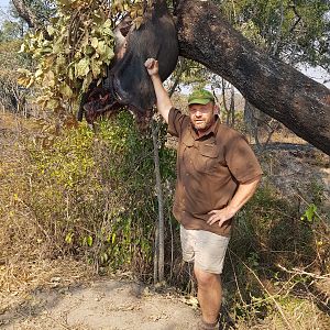 Lion Baiting Tanzania