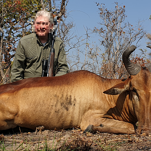 Western Hartebeest Hunt Tanzania