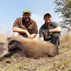 Hunt Bushpig in Tanzania