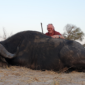 Namibia Hunt Buffalo