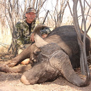 Hunting Buffalo in Namibia