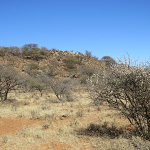 Hunting Area in South Africa