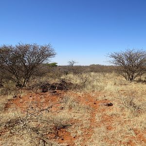 South Africa Hunt Area