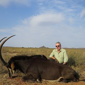 Hunt Sable Antelope in South Africa