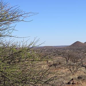 Hunting Area South Africa