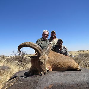 Hunting Aoudad in South Africa