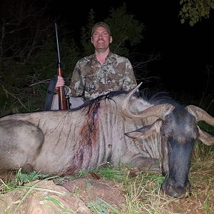 South Africa Hunting Blue Wildebeest