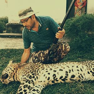 Leopard Hunt India