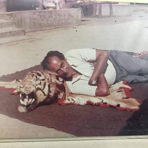 Bengal Tiger Rug