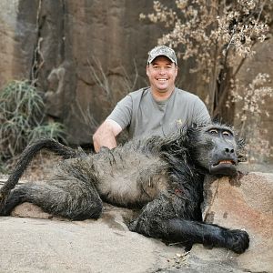 Hunt Baboon in South Africa