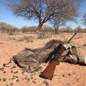 South Africa Hunt Warthog