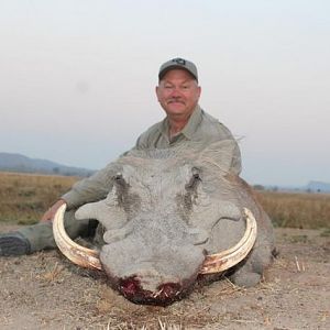 Warthog Hunting Zimbabwe