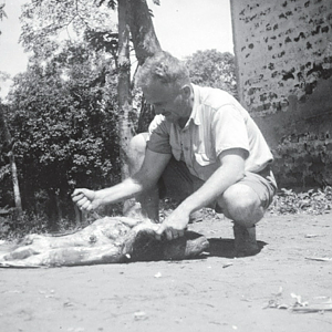 Mr. Pamuk Chowdhury field dressing the Porcupine