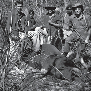 Gaur Hunt India