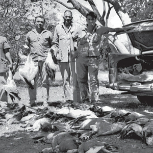 Hunting Geese in India