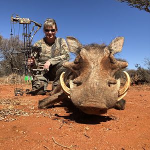 Warthog Bow Hunting South Africa