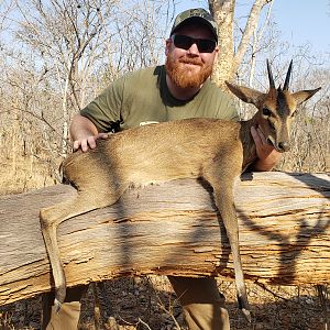 Hunting Duiker in Zambia