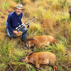 Red River Hog Hunting Congo