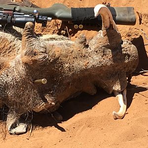 Hunting Warthog in Namibia