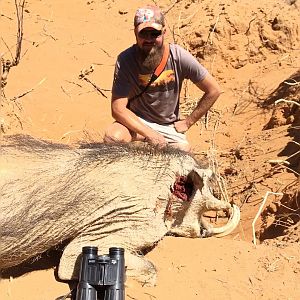 Namibia Hunting Warthog