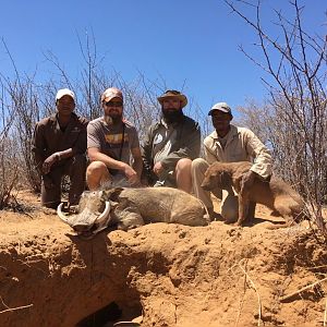 Hunt Warthog in Namibia