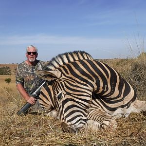 Burchell's Plain Zebra Hunting South Africa