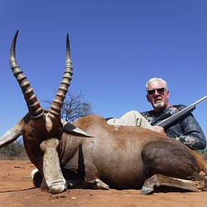 South Africa Hunt Blesbok