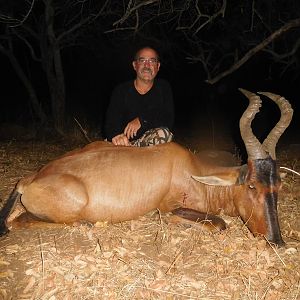 South Africa Bow Hunting Red HArtebeest