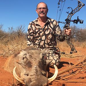 Warthog Bow Hunt South Africa