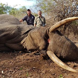 Hunt Elephant in Mozambique