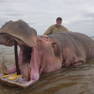 Hippo Hunt Mozambique