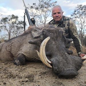 Warthog Hunt Mozambique