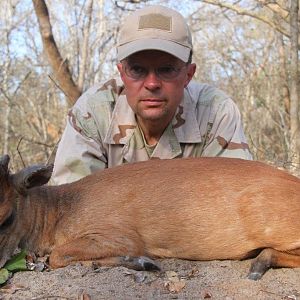 Red Forest Duiker Hunting Mozambique