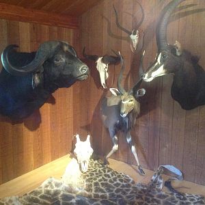 Trophy Room