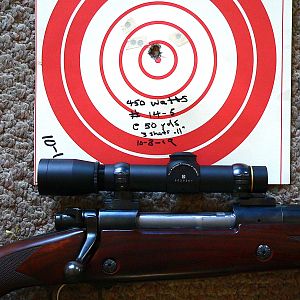 Montana 99 Rifle chambered in 450 Watts Range Shots