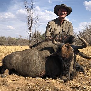 Blue Wildebeest Hunting South Africa