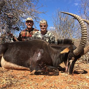 South Africa Bow Hunt Sable Antelope