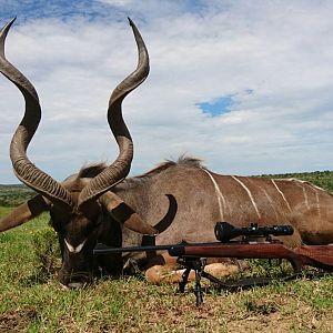 Hunting Kudu in South Africa