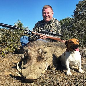 Warthog Hunt South Africa