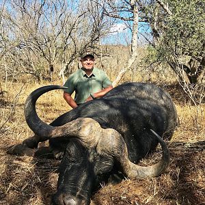 Buffalo Hunting South Africa