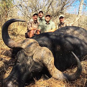 Hunting Buffalo South Africa