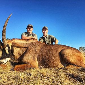 Roan Antelope Hunt South Africa