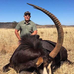 South Africa Hunting Sable