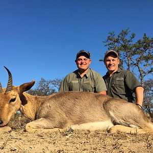 Hunt Mountain Reedbuck in South Africa