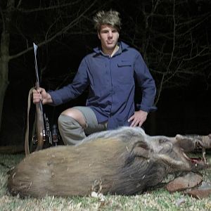 Hunting Bushpig in South Africa